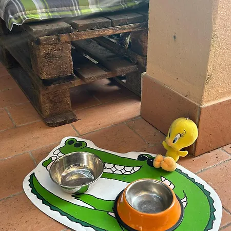 דירה La Terrazza Di קמוגלי