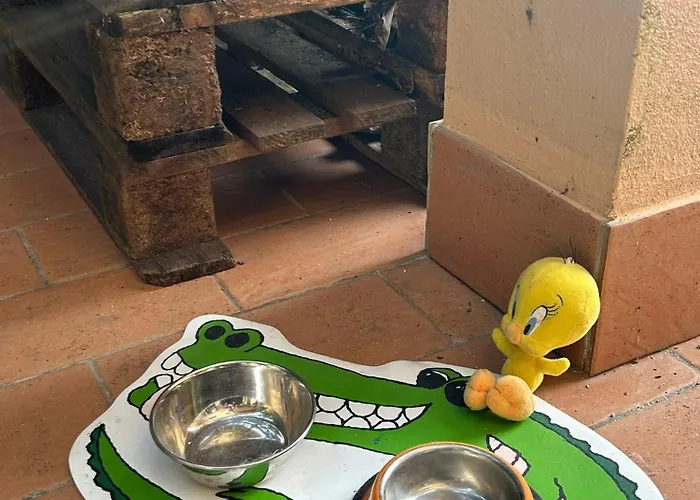 Lägenhet La Terrazza Di Camogli